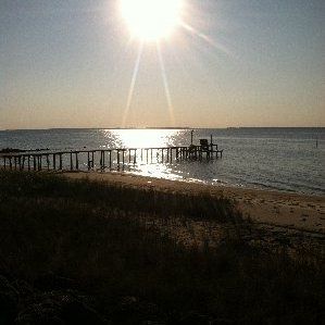 Profile Picture of Randy&Dee McCoy (@RandyDeeMcCoy1) on Twitter