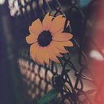 Profile Picture of Skyy cabell (@myjimmyisdead123) on Instagram