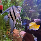 Bryan Stolz - Youtube Profile Picture of Bryan Stolz (@bryansaquadics) on Youtube