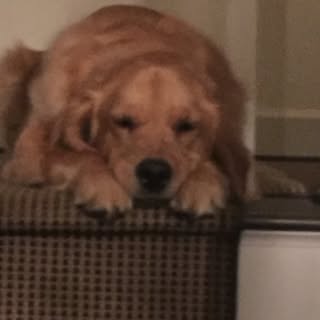 bobernst - Instagram Profile Picture of bobernst (@bobernst) on Instagram