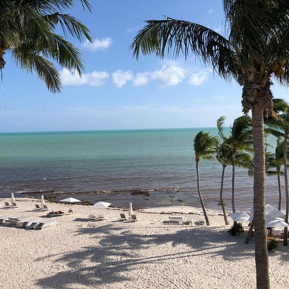 Profile Picture of Brenda Disch (@weberbj64) on Poshmark