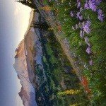 Profile Picture of Gileston (@june3jcqpontfaen) on Instagram