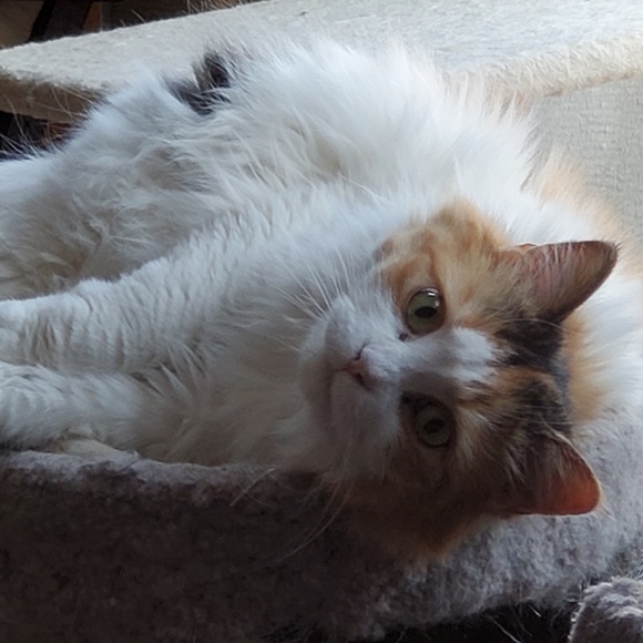 Pamela Yerxa - Poshmark Profile Picture of Pamela Yerxa (@yermap) on Poshmark