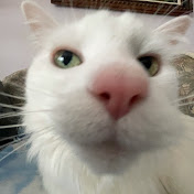 Profile Picture of John Albrecht (@johnnyrocks7317) on Youtube