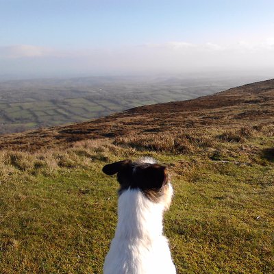 Profile Picture of Tom Morgan-Rolfe (@TomMR99) on Twitter