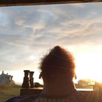 Tanya Wren - Instagram Profile Picture of Tanya Wren (@mcnichollcolm) on Instagram