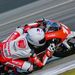 Profile Picture of Troy Alberto (@troy_alberto) on Pinterest