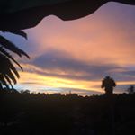 Profile Picture of Stephen & Nicole (@stevenicole.tait) on Instagram