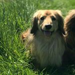 Profile Picture of Lorraine Kramer (@kramerlorraine) on Instagram