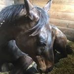 Profile Picture of Sherry Upton (@supton127) on Instagram