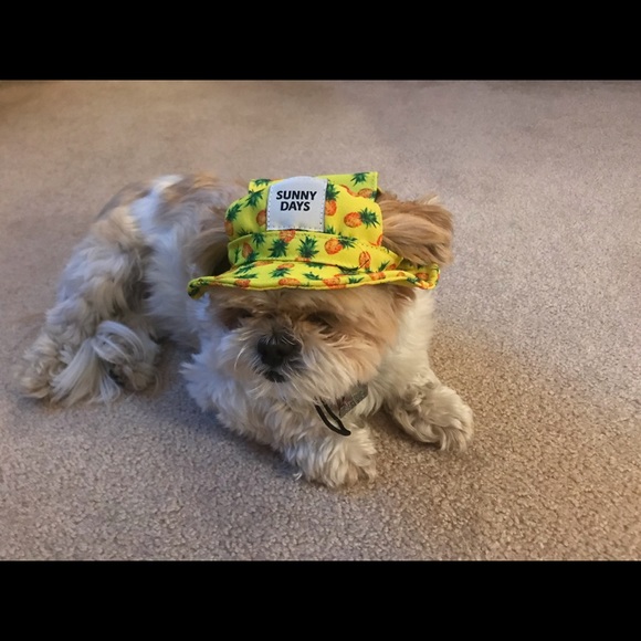 Profile Picture of Brian Haskell (@haskell7962) on Poshmark