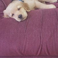 Profile Picture of Michael Altman (@michael-altman-25) on Quora