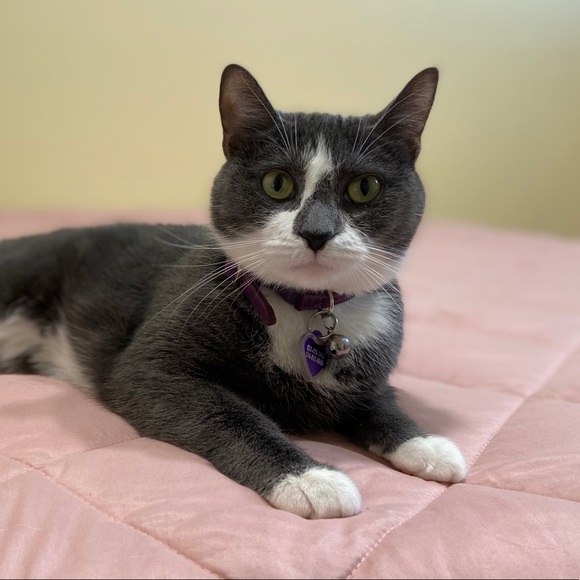 Eve Maiorano - Poshmark Profile Picture of Eve Maiorano (@emaio) on Poshmark