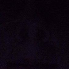 Profile Picture of Deactivated (@_DylanMagee_) on Twitter