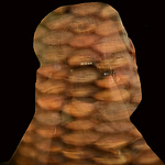 Profile Picture of Wilfredo Gonzalez (@wgonzaleza) on Flickr