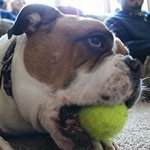 Profile Picture of Dennis Hooker (@dennischooker) on Instagram