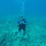 Profile Picture of Joseph Hester (@joeking__around) on Instagram