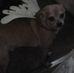 Profile Picture of Joseph Mentz (@joseph.mentz.37) on Facebook