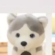 Profile Picture of Clark Johnson (@clarkjohnson6545) on Youtube