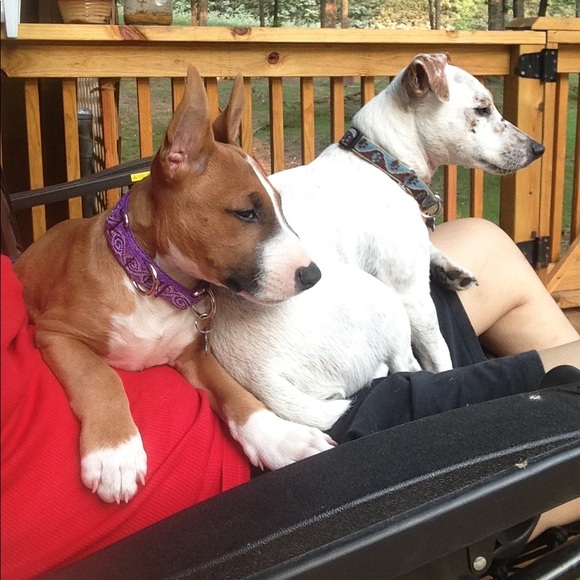 Profile Picture of Ivy rose Penaflor (@sophia_1081) on Poshmark