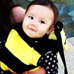 Profile Picture of Sean Chamberlain (@aubrey_quinn_bee_removal) on Instagram