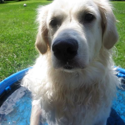 Profile Picture of Mike Rosengren (@michaelmjr2) on Twitter