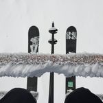 Profile Picture of David Tanzer (@david.i.tanzer) on Instagram