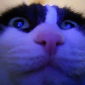 Profile Picture of Mark Bashkov (@markbashkov7918) on Youtube