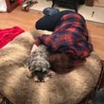 Profile Picture of Greer Marshall (@greer_marshy) on Instagram