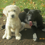 Profile Picture of Michelle Hudson (@michellehudson2538) on Youtube