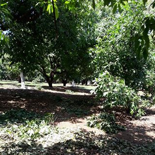 Profile Picture of Rafael Pablo (@rafael.pablo.1447342) on Facebook