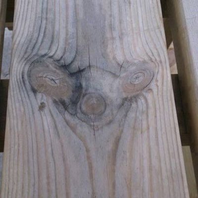 Profile Picture of Snar (@AndrewSnarski4) on Twitter