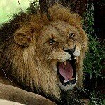 Profile Picture of H ROGELIO PORTILLO (@portilloh.hp70) on Instagram