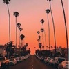 Profile Picture of Charlotte (@@stellabenjamin535) on Tiktok