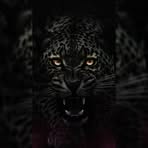 Profile Picture of Aiden Bertoldi Adam (@Aiden-Bertoldi-Adam) on Facebook