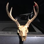 Profile Picture of Bryan Keith Baggett Jr. (@bryankeithbaggettjr) on Instagram