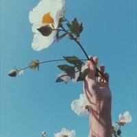 Profile Picture of 28, Shreya, Myp-d Shreya, Myp-d (@28-shreya-myp-d-shreya-myp-d) on Quora