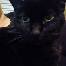 Profile Picture of Janna Thomas (@jtmom1617) on Twitter