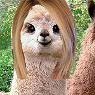 Profile Picture of Llama Ray Cyrus (@LlamaRayCyrus) on Twitter