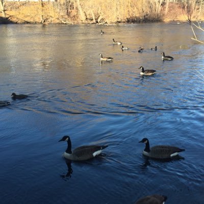 Profile Picture of Zou (@lin030909) on Twitter