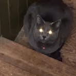 Profile Picture of Aaron Dahlstrom (@aaron.dahlstrom.2025) on Facebook