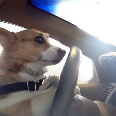 Profile Picture of Paul Mattson (@PaulSMattson) on Twitter
