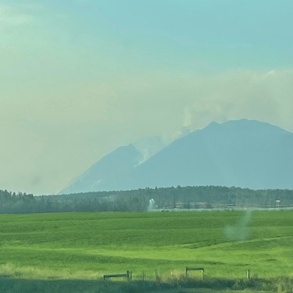 Profile Picture of Matthew Monti (@matthew_monti) on Poshmark