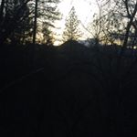 Profile Picture of Greg Barrera (@gregthebranch) on Instagram