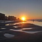 Profile Picture of Peter Randazzo (@carrier006) on Instagram