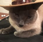 Profile Picture of Jeff Hagemeier (@Jeff-Hagemeier) on Facebook