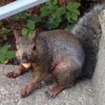 Jason Trueman - Instagram Profile Picture of Jason Trueman (@trueman5384) on Instagram