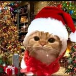 Profile Picture of Jilian Cos (@Jilian-Cos) on Facebook