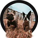 Profile Picture of БЛОГ ПОД НАСТРОЕНИЕ 🌈 (@frank_and_zorro) on Instagram