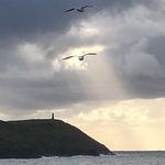 Profile Picture of Kevin Peake (@peake01) on Instagram